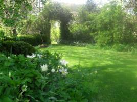 Naturcamping am Attersee