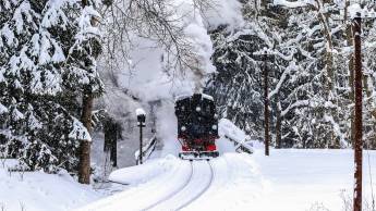 Zum Harzer Jodlermeister