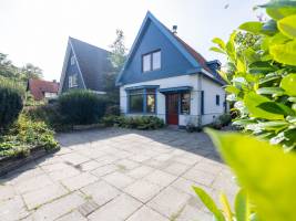 Bergens Roodborstje