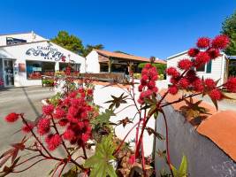 Camping Le Pont D'yeu