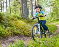 Familiereis Zwerven door Zweden