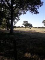 Campingplatz in Bouvron, Pays de la Loire