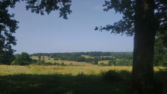 Bretagne: Naturaufenthalt, 7000 m² großer bewaldeter Park, Tiere