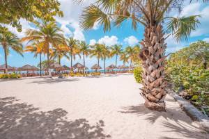 8 dg cruise Caribische Zee Celebrity Xcel