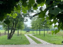 Campingplatz in Haps, Nordbrabant