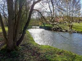 Campingplatz in Dordives, Centre-Val de Loire