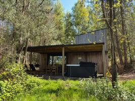 Comfort Sweet Wellness