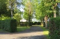 La Salvinie
