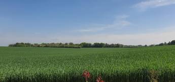 Campingplatz unter freiem Himmel in Pamproux: Die Ruhe der Natur