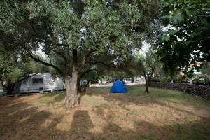 Camping Bor