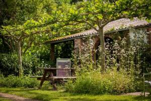 Kleiner grüner Campingplatz mitten im Wassergebiet Blauwestad