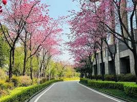 InterContinental Kunming by IHG