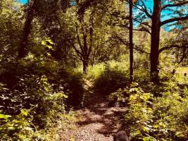 Campingplatz Twintigboender in Born, Limburg