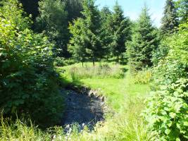 Camping Trodoway