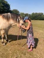 Les Sources, Camping Club genießen Sie die Ruhe und Entspannung,