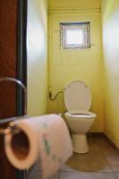 Natürlicher Aufenthalt auf dem Land in den Venen