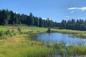 Björsarv Camping