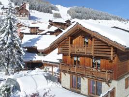 Chalet Odalys Le Loup Lodge