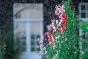 Villa Gransholm