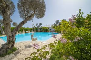 Villa Lisa with huge Pool and Garden
