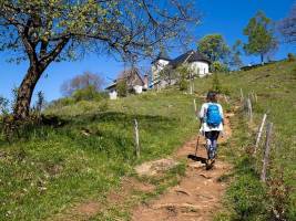 Bled & Bohinj Trail