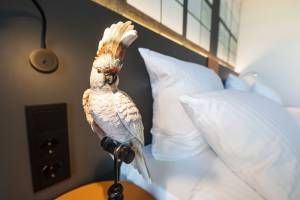 Loginn Hotel Waiblingen