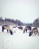 Campspace in Holzminden, Niedersachsen