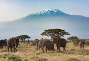 Safari Klassiek Kenia