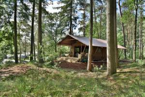 Veluwe Lodge