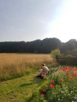 Der kleine Himmel, FKK-Campingplätze