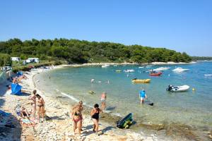 Arena Stupice Campsite