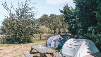 Spaß und Fröhlichkeit im Polder zwischen Biesbosch und Efteling