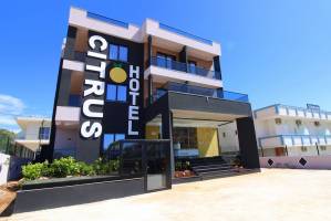 Hotel Citrus
