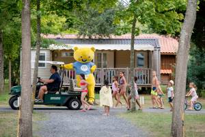 Camping L'arbre D'or