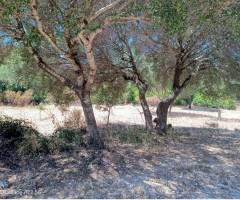 Campingplatz in Orosei, Nuoro