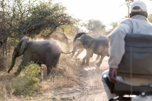 16-daagse privérondreis Grandioos Zuid-Afrika met huurauto - tot