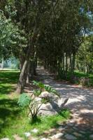 Camping Village Ultima Spiaggia