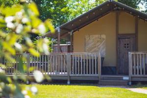 Safaritent met jacuzzi | 6 personen