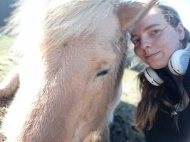 Camping auf einer urigen Obstwiese in der Eifel