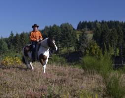 Flower Camping La Plage