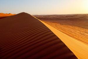Magisch Oman - 8-daagse fly-drive - 4 sterren hotels