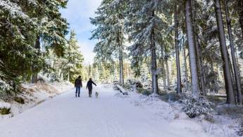 Harz Hotel Vogelberg