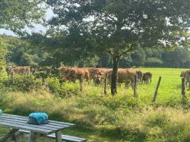 Fonclaire Camping, Glamping & Gites