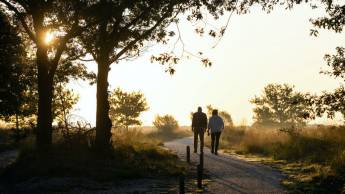 Hotel Restaurant Vijlerhof