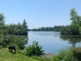 Camping Des Rosiers