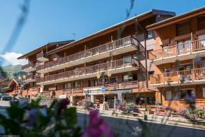 Le Peillon Studio 4p cabine vallée