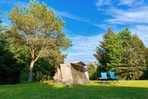 Tolne Camping