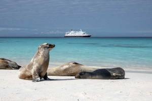 HX Expeditie Galapagos | In de voetsporen van Darwin