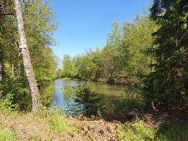 Wundervolles Waldland im Herzen der tausend Seen