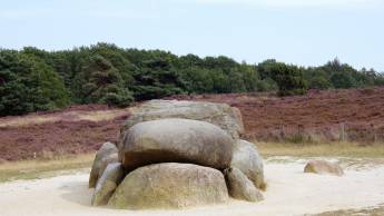 Brinkhotel Zuidlaren